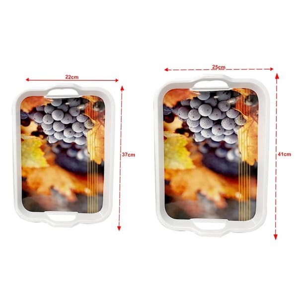 SND Homes Classic Series Crystal Melamine Serving Tray (Medium and Large Size, Multicolour) - Set of 2 - Image 4