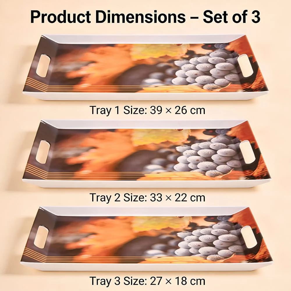 SND Homes Ocean Modern Designs Melamine Break Resistant Serving Tray (Size, Medium, Large) -Set of 3 - Image 7